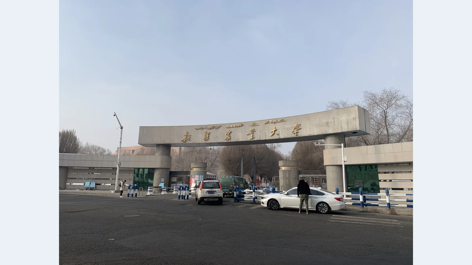 新疆农业大学校园图片